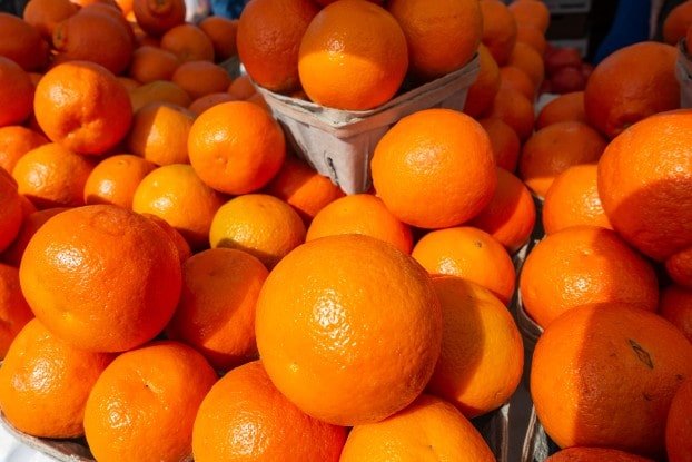 Oranges at the Venice Florida Farmers Market